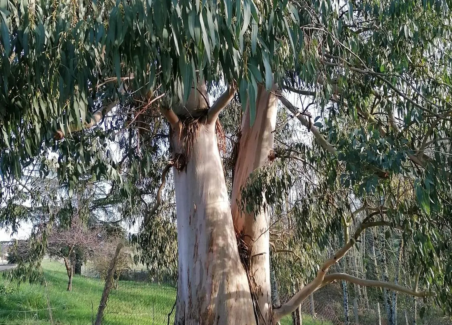 سان جودُ Du Gite A La Terre سان جودُ